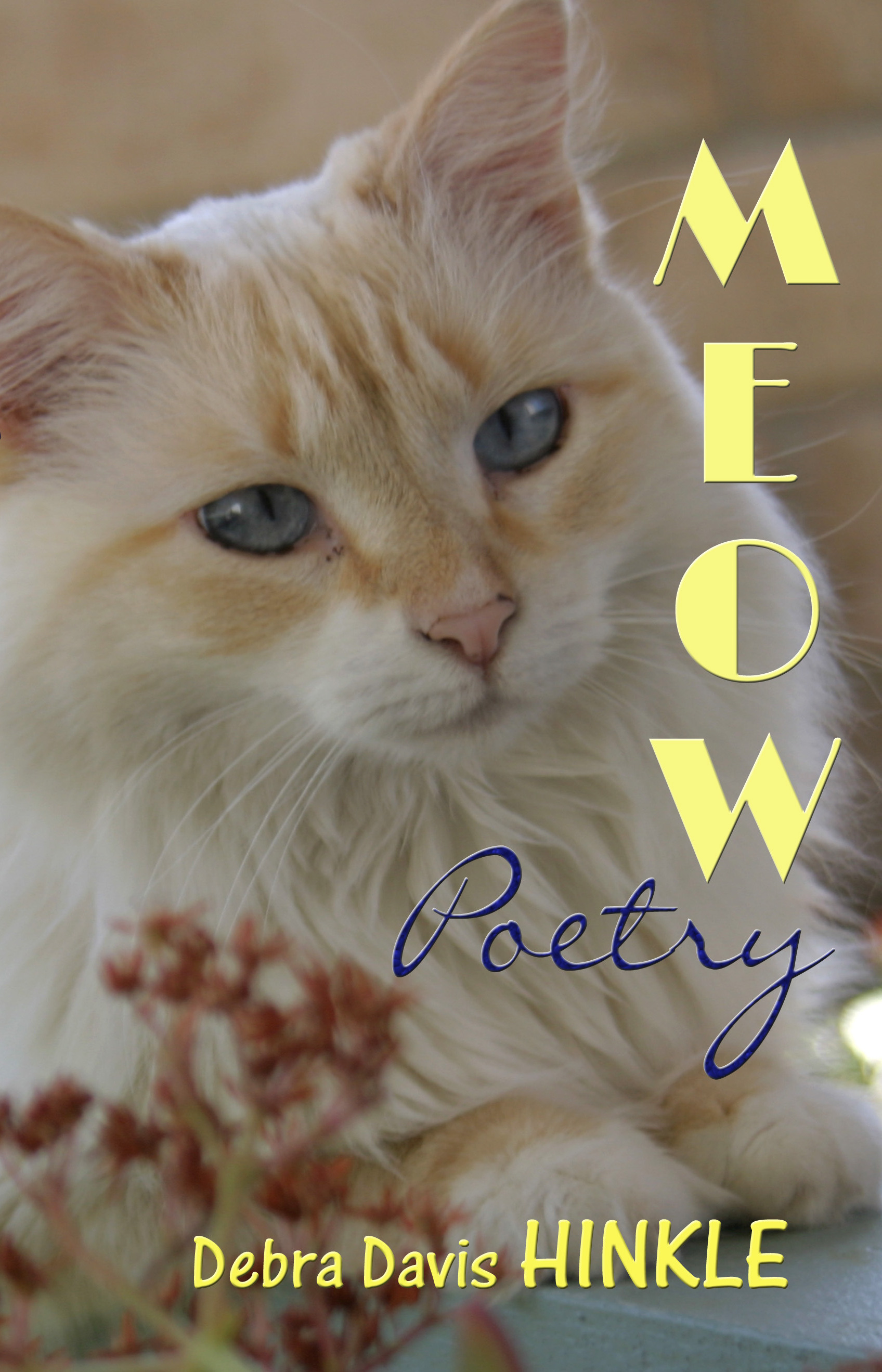 Meow Poetry 1