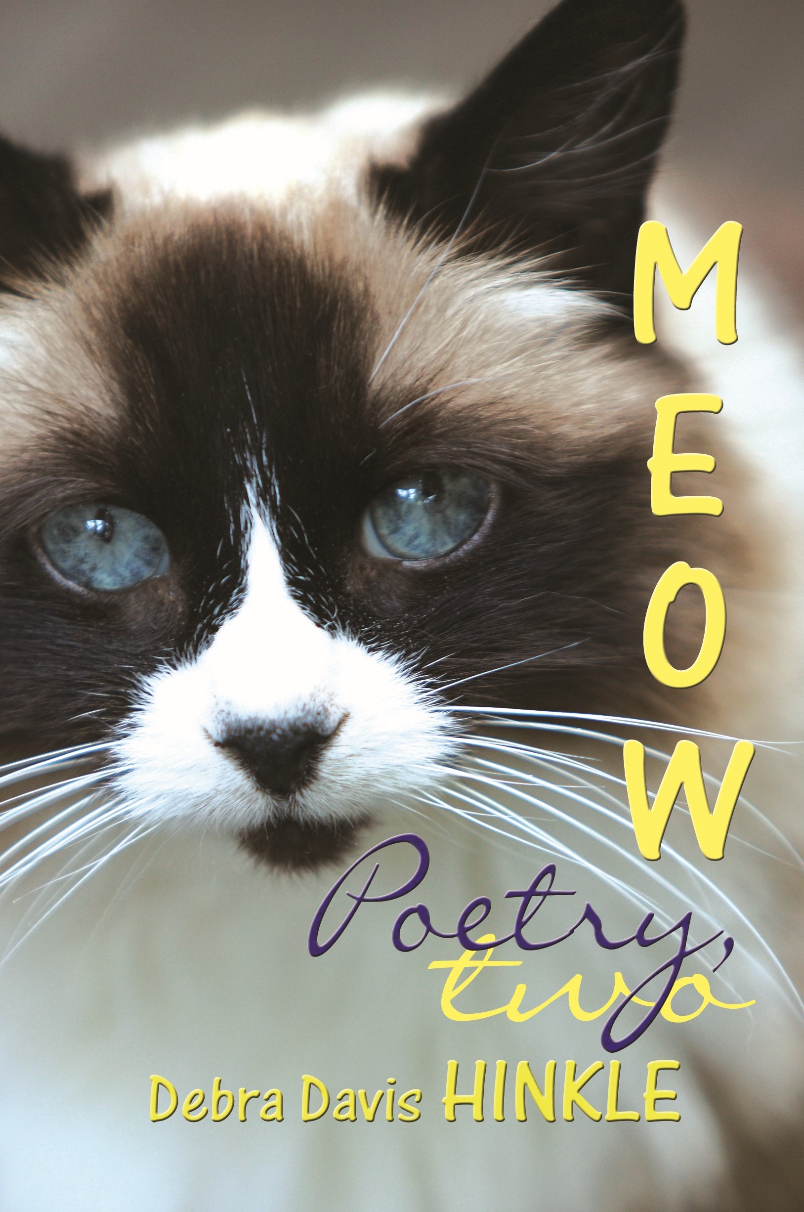 Meow Poetry 2